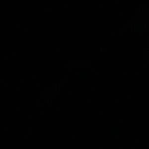 Meet your Posher, Bri